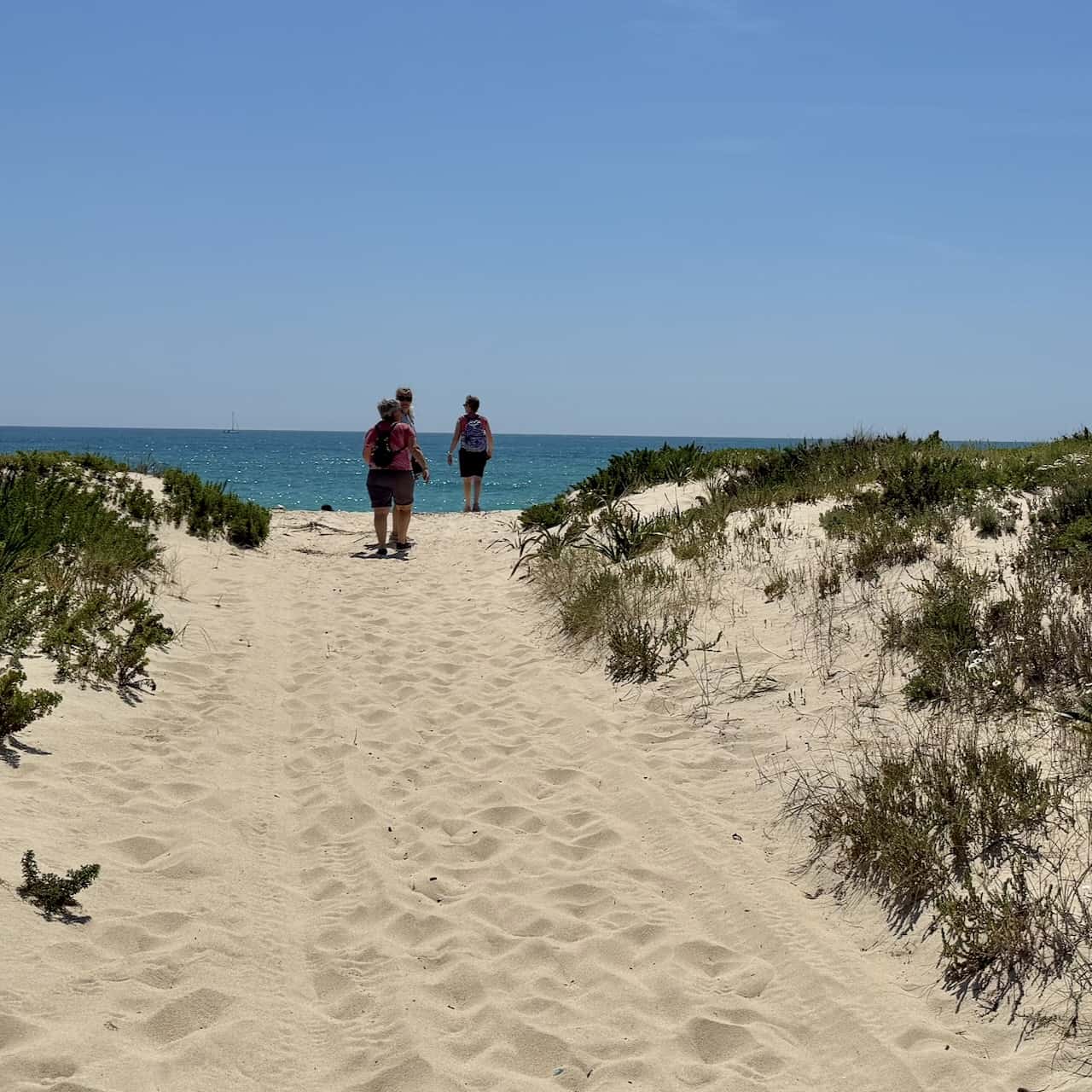 Three people going to the sea over a sandy path through the dunes