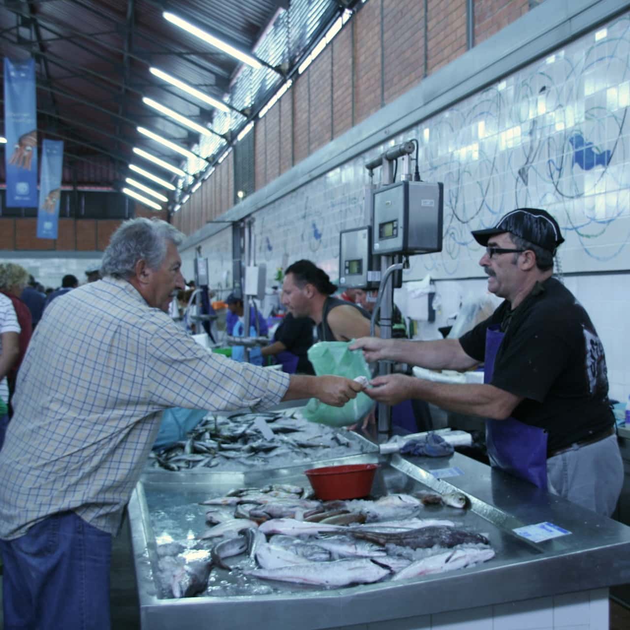 Casinha na Baixa - Olhão Fish market Man, buying fish at a market stall in an indoor hall in Olhão